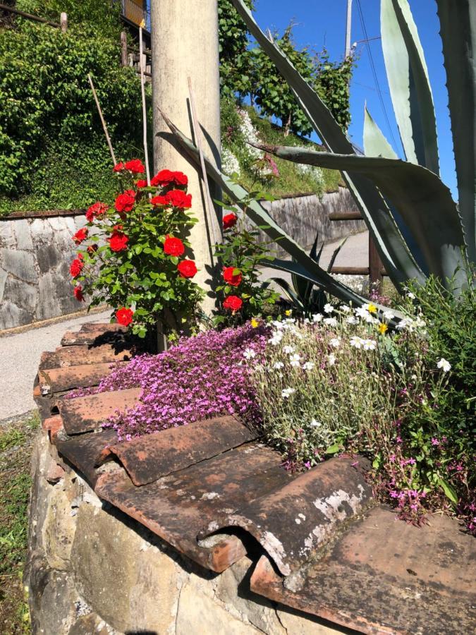 Casa Vacanze Lillo Villa Vezzano Ligure Buitenkant foto